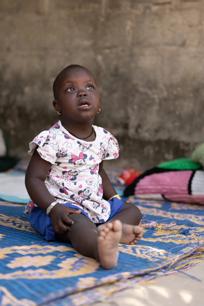 The Sadiq Trust - Arame