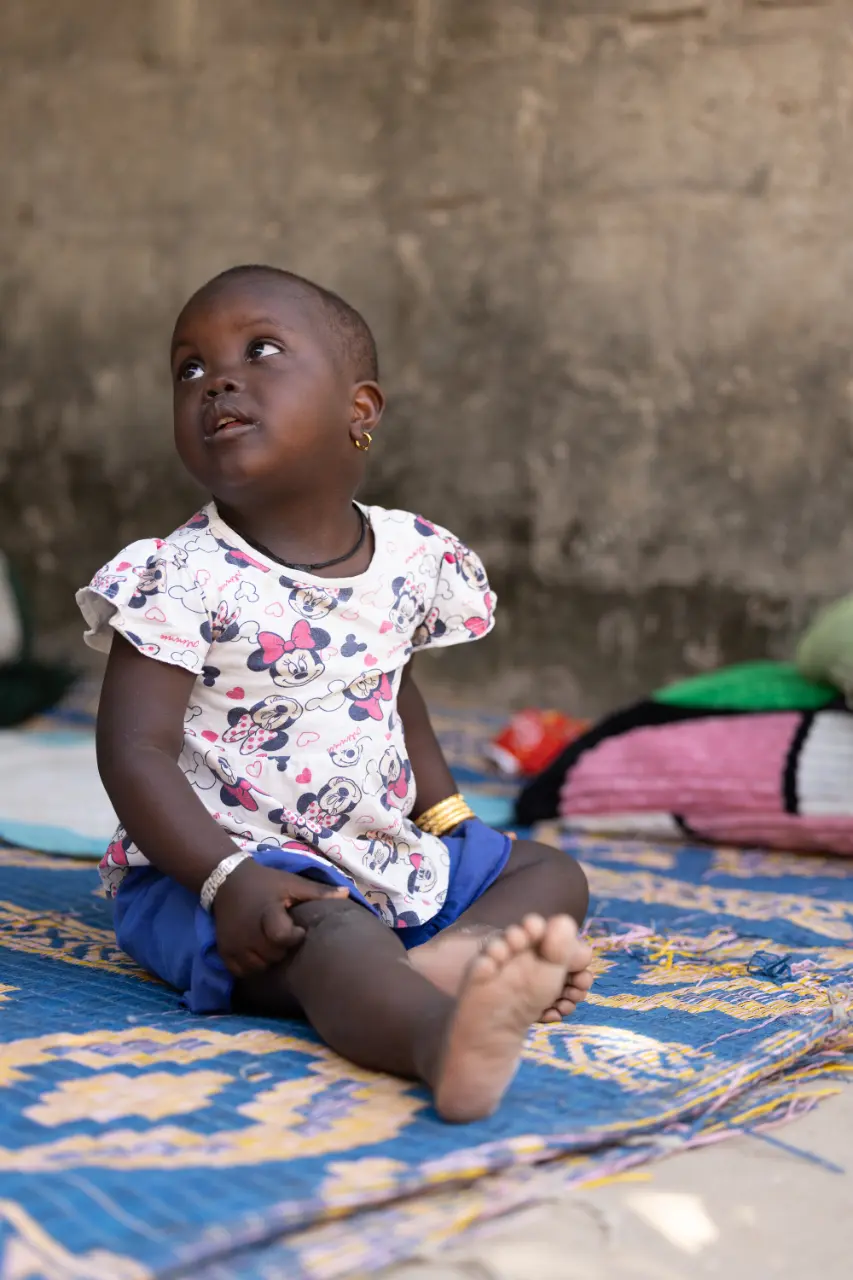 The Sadiq Trust - Arame