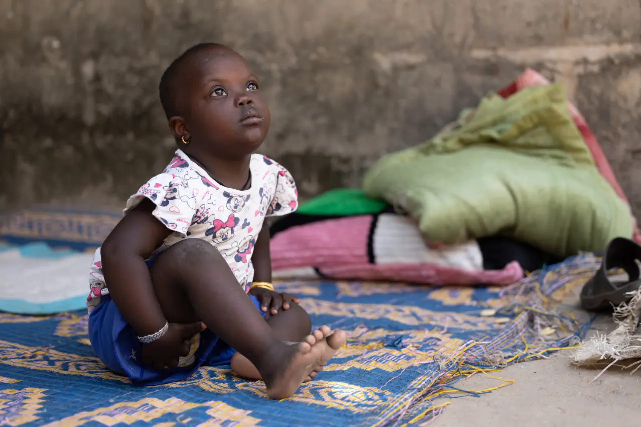 The Sadiq Trust - Arame